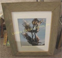 2 framed pictures: 15x18 & 16.5x19.75