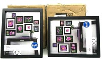 (12) Photo Frames