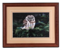 Thomas Mangelsen Framed Owl Photograph