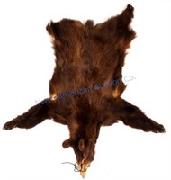 Montana Cinnamon Black Bear Fur Hide