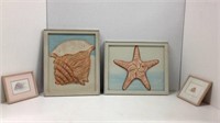 Four Seashell Framed Pictures