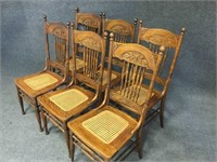 Tiger Oak Dining Chairs