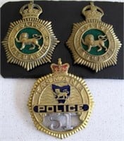 Tasmania Police two Kings Crown brass cap badges