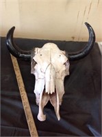 Original Mexican Cattle Skull