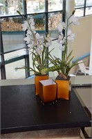 Set of 3 glass vases with floral arrangements