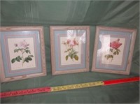 Set of 3 Framed Rose Floral Prints