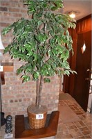 Fake Fica tree, 76" tall