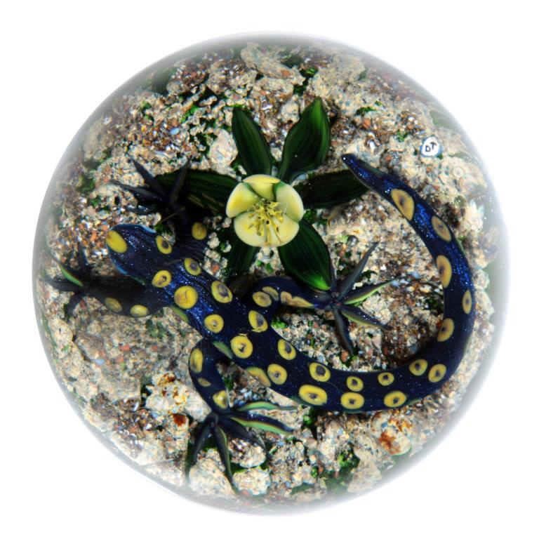 Over 300 paperweights from the O'Brien collection: Delmo Tarsitano