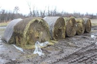 (10) NET WRAPPED 1ST CROP HAY ROUND BALES