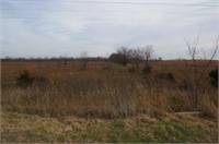 Tract 6: 118 acres m/l