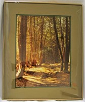 Wooded Themed Framed Picture