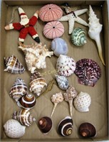 Box Of Sea Shells Christmas Starfish