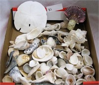 Box Of Sea Shells (night Light)
