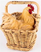 Taxidermy Genuine Chicken Roosting in Basket