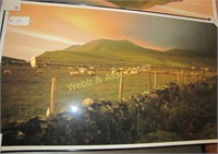 Framed Ben Weddle #1 of 1500 Ireland Sheep (3'x5')