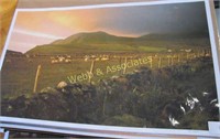 Unframed #6 of 1500 Ben Weddle Ireland Sheep