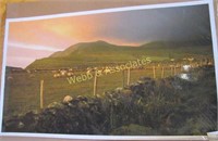 Unframed Ben Weddle #3 of 1500 Ireland Sheep