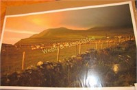 Unframed Ben Weddle #5 of 1500 Ireland Sheep