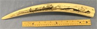 Extremely rare 17.5" walrus tusk with a whaling sc