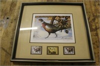 WILD WINGS PHEASANT FOREVER PRINT, WITH STAMPS