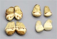 4 Pair Elk Whistlers Teeth for Crafts or Jewelry