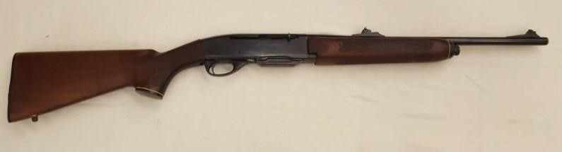 Fall Firearm Auction