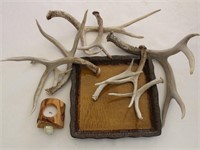 Assortment of Antlers, Glass Tray, Wood Night