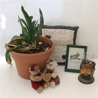 Plant, Friends Pillow, Horse Candle Holder..