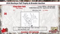 2016 Buckeye Fall Trophy Auction