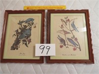 Two Vintage Framed & Matted Bird Prints