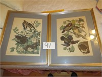 Two Piece Collection of Audubon Framed Prints
