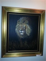 24 x 36 lion oil on canvas
