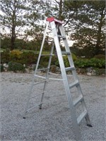 Lite Aluminum Ladder