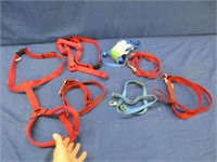 several goat or larger dog harness & leashes