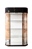 PACE MODERNIST DISPLAY CASE