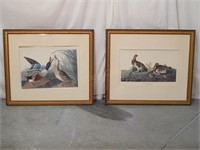2 Framed Audubon Prints