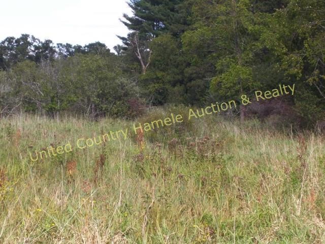 35 Acre Columbia County Online Only Land Auction