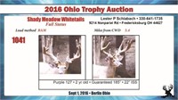2016 Ohio Trophy & Breeder Auction