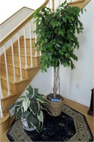 Lot, 6' Artificial tree and artificial plant