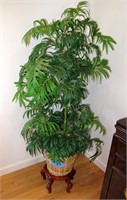 Tall silk palm plant with wooden oriental