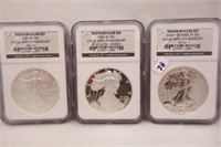 2006 20TH ANIVERSERY  PROOF SILVER EAGLE SET