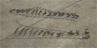 (2) LAWN MOWER CHAINS, APPROX 42"x12"