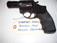 Charter Arms Bulldog Pup 44 Caliber Revolver