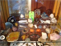 CONTENTS OF SHELF-ROCK/GEOS/FOSSILS