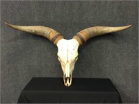 Animal Longhorn Skull Wall Decor