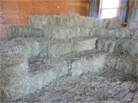 150 plus small square bales last years hay