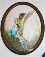 OIL ON CANVAS PARAKEET IN OVAL FRAME SIGNED