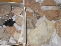 Excavated Pottery Fragments