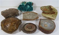 Stone Collection-Large Clam Fossil, Horn Coral..