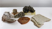 Collection of Rocks: Volcanic Bomb Geode....